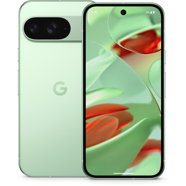 Google Pixel 9 5G 12/256GB Wintergreen